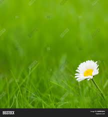 Looking for the best wallpapers? Beautiful Nature Image Photo Free Trial Bigstock