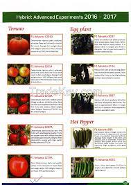 We did not find results for: Advanta Seeds By Advanta Seeds Uae