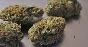 Adding the querkle to the mix has. 8 Halloween Themed Marijuana Strains To Try This Week