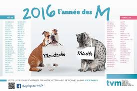 Le choix du nom pour votre chienne peut se faire selon divers critères et les possibilités sont infinies. Choisir Un Nom Avec Lettre M Pour Votre Plisse 2016 Blog De Sharpei 16