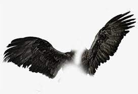 Dark Wings Png Black Wings Pngs Wings Png For Picsart Free Transparent Png Download Pngkey Wings Png Dark Wings Eagle Wings