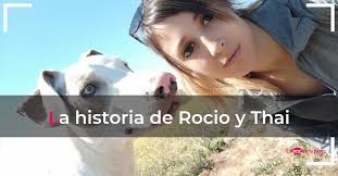 La historia de Thai. Nervioso, reactivo y no paraba quieto en casa.