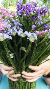Pin On Wedding Flowers
