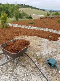 An excellent choice for a great looking yard. Gorilla Hair Mulch Is Great At Suppressing Weeds Retaining Moisture Around Plants And Coveri Mulch Landscaping Dyi Landscaping Ideas Landscaping Around Trees