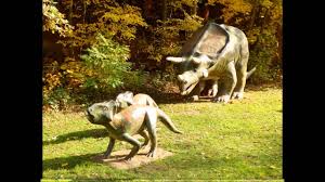 Maybe you would like to learn more about one of these? Kaiserslautern Gartenschau Mit Dinosaurier Youtube