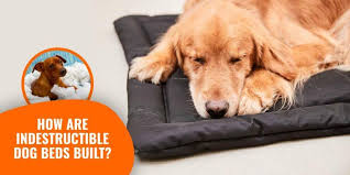 Choosing the best dog bed for your wild friend is about choosing the toughest and most comfortable dog bed. How Are Indestructible Dog Beds Built Diy Designs Materials Etc