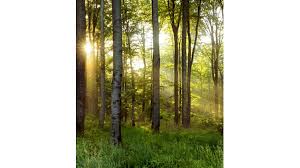 Valda Wilson Obituary