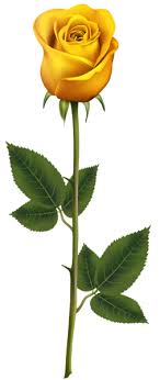 Yellow Rose With Stem Png Transparent Clip Art Image Blue Rose Tattoos