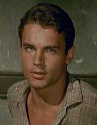 He is a celebrity actor, film director, television director, screenwriter, film producer, television producer. 30 Terence Hill Ideas Actors Spaghetti Western Hills