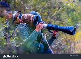 Professional Wildlife Photographers With Very Long Lenses In Forest Shooting Animal Bird Ad Ad Photographers Long Stock Photos Photo Editing Photographer