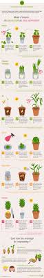Migros Infographie Pour Faire Repousser Les Legumes Generation M Jardinage Repousser Les Legumes Astuce Jardin