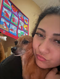 This is my clove ! He got out of my yard and I miss him so much and am so  worried , I adopted him a few months ago and have been