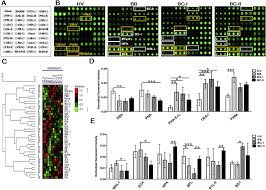 These symptoms do not always mean you have breast cancer. Salivary Glycopatterns As Potential Biomarkers For Screening Of Early Stage Breast Cancer Ebiomedicine