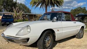 Image result for Ivory 1966 Alfa-Romeo