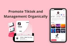 Create Canva Instagram And Facebook Story And Post Templates By Jon Pro Fiverr