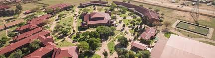 Up Dean Appointed Vice President Of Pan African University Council University Of Pretoria