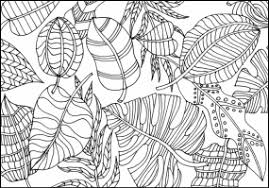 Select from 35870 printable crafts of cartoons, nature, animals, bible and many more. Coloring Pages Welcome To River S Wish Animal Sanctuary