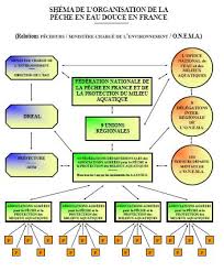 Attention toutefois elle n'est valable que pour une seule ligne sur tous les plans pour les pêcheurs du dimanche qui souhaitent organiser une partie de pêche au dernier moment cette carte est idéale. Carte De Peche Et Vie Associative Federation Des Pyrenees Orientales Pour La Peche Et La Protection Du Millieu Aquatique