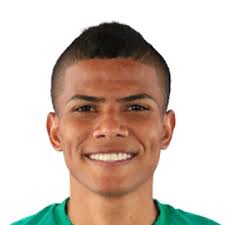 José David Enamorado Gómez