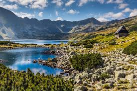 Spelunkers may enjoy touring six of the park's 650 caves that are open to the public. Tatra Mountains Wildlife Location In Poland Europe Wildlife Worldwide
