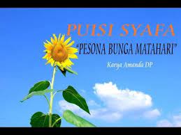 Kali ini saya datang membawa tutorial menggambar bunga matahari! Puisi Syafa Pesona Bunga Matahari Youtube