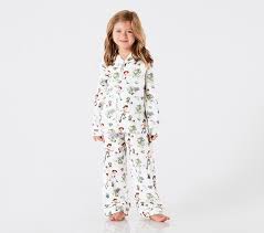Disney Pixar Toy Story Kids Flannel Pajamas Pottery Barn Kids