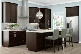 I was impressed with the qulity of the cabinets and how easy they were to assemble. Dark Chocolate Shaker Ready To Assemble Kitchen Cabinets Assembled Kitchen Cabinets Home Kitchens Espresso Kitchen Cabinets