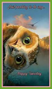 Read complete write up, on, happy tuesday, romantic happy tuesday messages, cute happy tuesday quotes, happy tuesday funny, also if you have been searching for happy tuesday morning for friends and family for your love ones. 27 Happy Tuesday Morning Tuesday Quotes Funny Inspirational Quotes