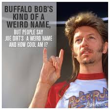No, joe, you can't be mad. 7 Pieces Of Life Advice From Joe Dirt That Are Surprisingly Spot On Sheknows