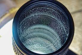 How To Prevent And Clean Camera Lens Fungus – Clever Creations