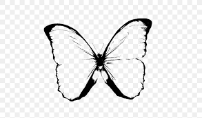Maybe you would like to learn more about one of these? Butterfly Black And White Drawing Clip Art Png 626x483px Butterfly Arthropod Black And White Brush Footed