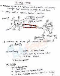 Nervous System Hand Written Notes For Neet 2021 22 Entrance Exam