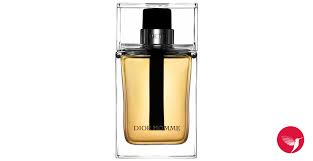 The new decorator standard neutral color is gray. Dior Homme Christian Dior Cologne A Fragrance For Men 2011