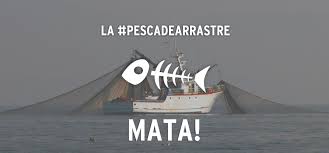 SABES QUE ES LA PESCA DE ARRASTRE - ecoxtreme