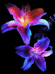 Animated Wallpapers Screensavers For Cellphones 240x320 Gif Gfycat Looking for the best 240x320 wallpaper? cellphones 240x320 gif gfycat