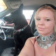 Aggressive stray cat in Billings, MT, Heights area