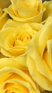 Resultado de imagen para imagenes tumblr amarillo