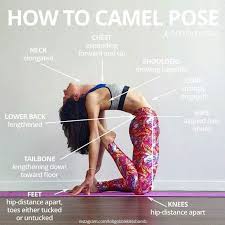 Image result for pose yoga