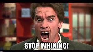 arnold schwarzenegger stop whining - Imgflip