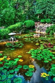 We did not find results for: Zen Garden Iphone Wallpapers Wallpaper Cave