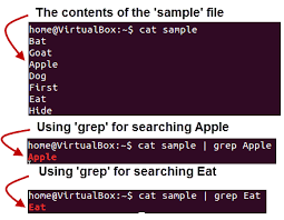 But still, if you are a newbie and want to learn the linux terminal like a pro, you must collect these pdf. Pipe Grep And Sort Command In Linux Unix With Examples