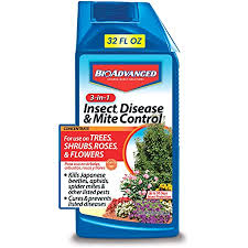 Maybe you would like to learn more about one of these? Amazon Com Bioadvanced 701615a Gal Tree And Shrub Control 1 Gallon Concentrate Garden Outdoor