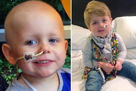 Little boy's aggressive brain tumour shrinks thanks to CANNABIS compound,  his parents claim