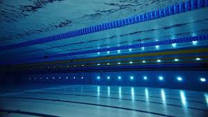 47+ olympic swimming pool wallpaper on wallpapersafari from cdn.wallpapersafari.com The Underwater Adventures Olympic Swimming Swimming Pools Swimming