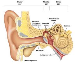 Maybe you would like to learn more about one of these? Vertigo Integrate Physio