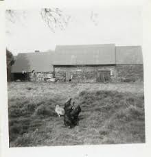 Martin Village Archive