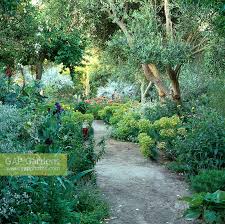 Path through mediter... stock photo by Marion Brenner, Image: 0180519