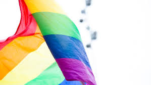 Ce 17 mai 2018 marquera à nouveau le combat contre la lutte des lgbtiphobies, cette crainte que ces minorités fassent trembler l'ordre mondial de part leur perversité contemporaine. Home
