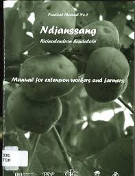 Image result for Ricinodendron