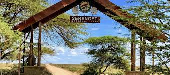 Serengeti National Park fees | Tanzania Safari Requirements | safaris